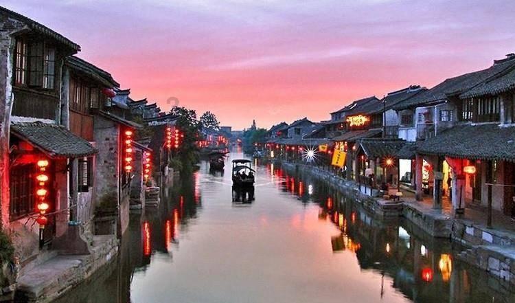 动物帮帮忙保卫家园